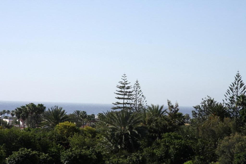 Apartamentos Los Tilos Playa del Inglés Zewnętrze zdjęcie