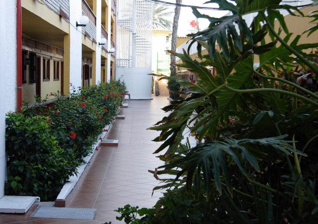 Apartamentos Los Tilos Playa del Inglés Zewnętrze zdjęcie